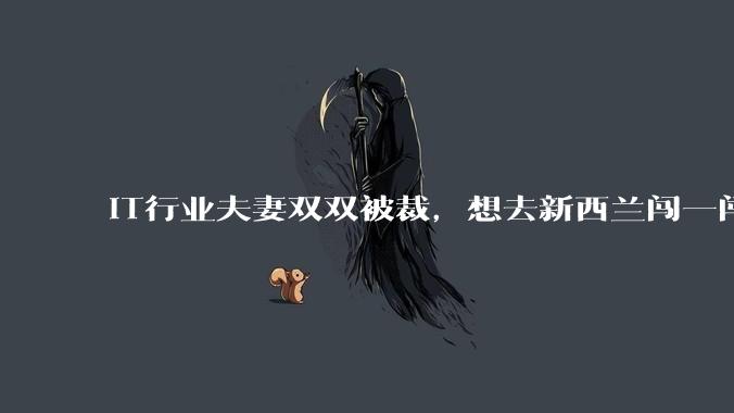 IT行业夫妻双双被裁，想去新西兰闯一闯可以吗？